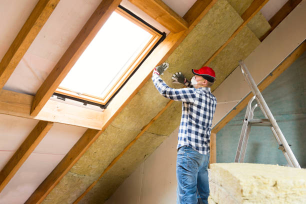 Best Eco-Friendly or Green Insulation Solutions in USA